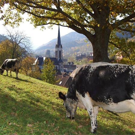 Petit Week End Dans La Vallee Breitenbach-Haut-Rhin Eksteriør bilde