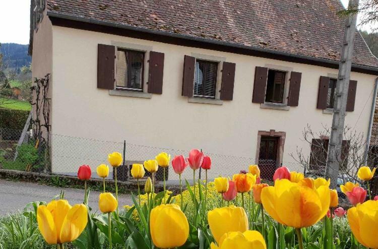 Petit Week End Dans La Vallee Breitenbach-Haut-Rhin Eksteriør bilde