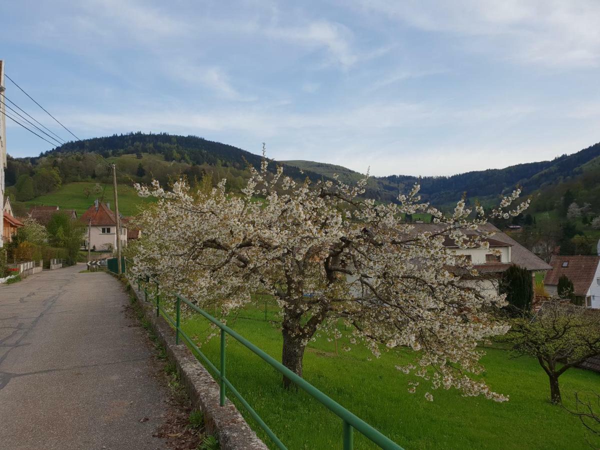 Petit Week End Dans La Vallee Breitenbach-Haut-Rhin Eksteriør bilde