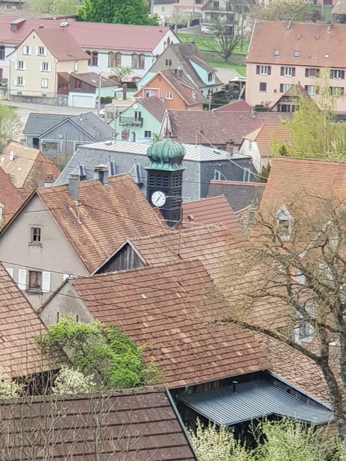 Petit Week End Dans La Vallee Breitenbach-Haut-Rhin Eksteriør bilde