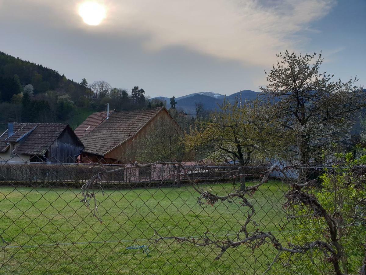 Petit Week End Dans La Vallee Breitenbach-Haut-Rhin Eksteriør bilde