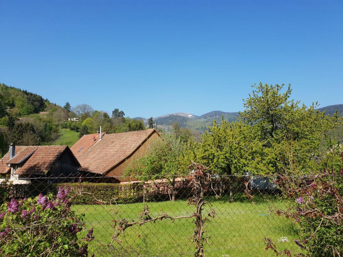 Petit Week End Dans La Vallee Breitenbach-Haut-Rhin Eksteriør bilde