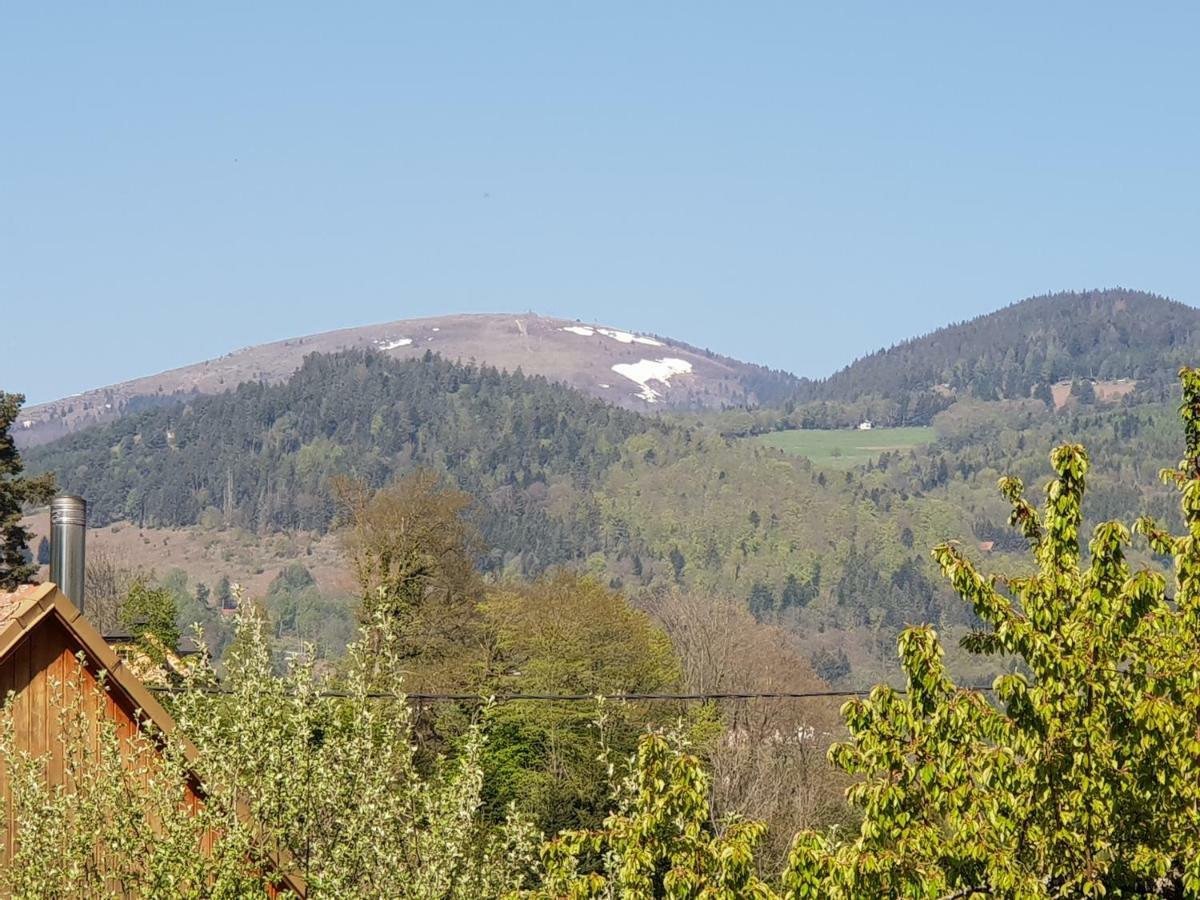 Petit Week End Dans La Vallee Breitenbach-Haut-Rhin Eksteriør bilde
