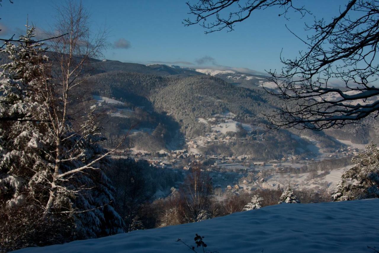 Petit Week End Dans La Vallee Breitenbach-Haut-Rhin Eksteriør bilde