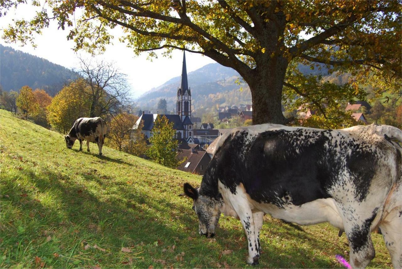 Petit Week End Dans La Vallee Breitenbach-Haut-Rhin Eksteriør bilde
