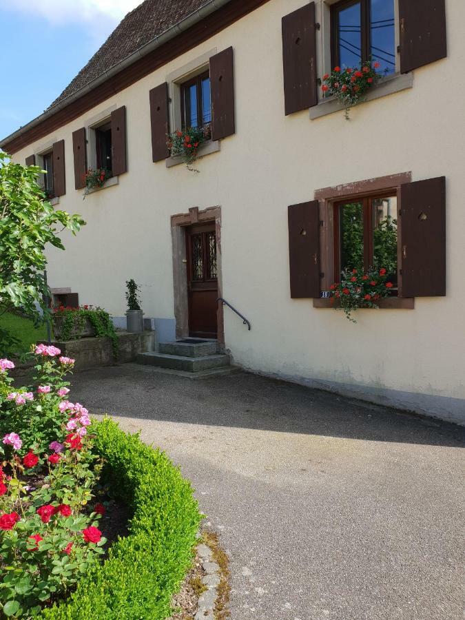 Petit Week End Dans La Vallee Breitenbach-Haut-Rhin Eksteriør bilde