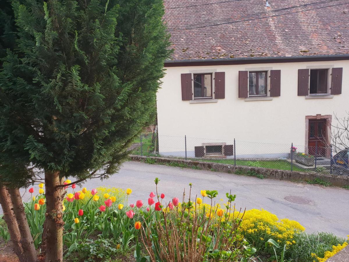 Petit Week End Dans La Vallee Breitenbach-Haut-Rhin Eksteriør bilde
